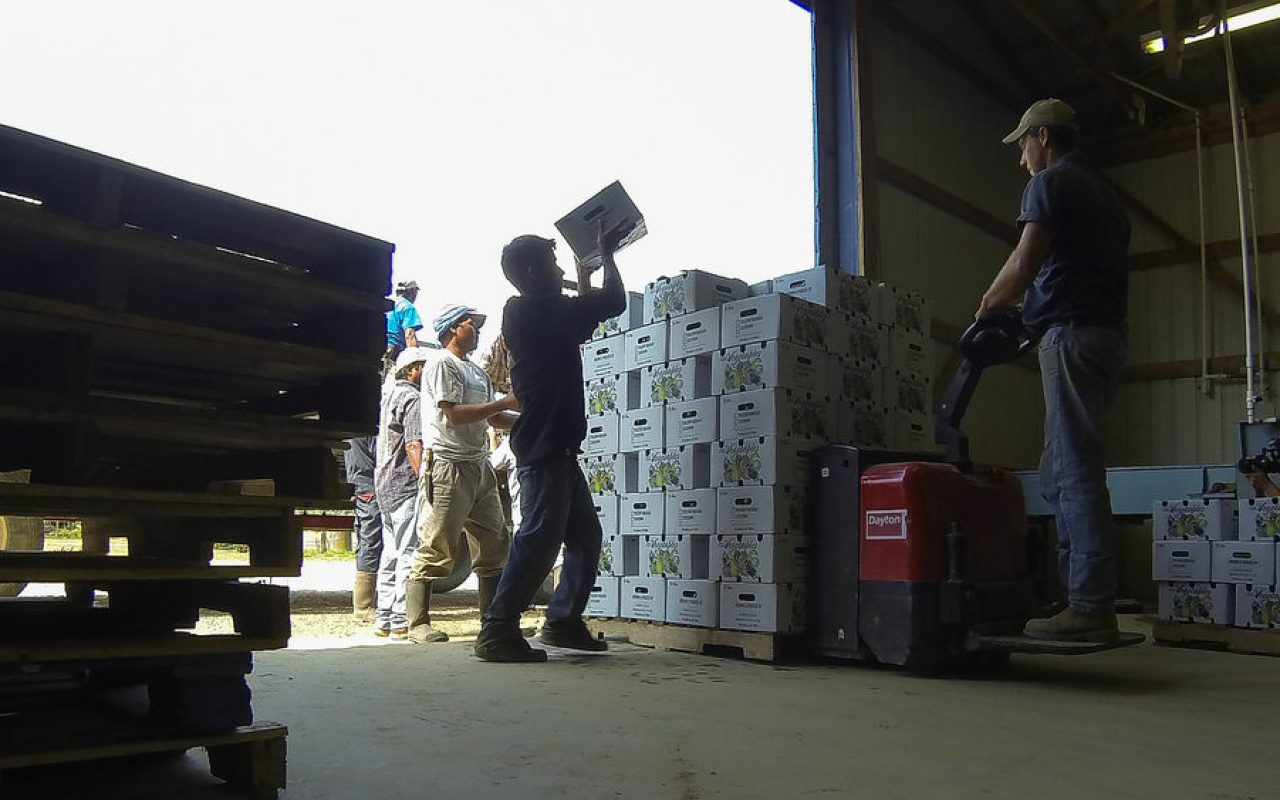 10603873565_1024x576