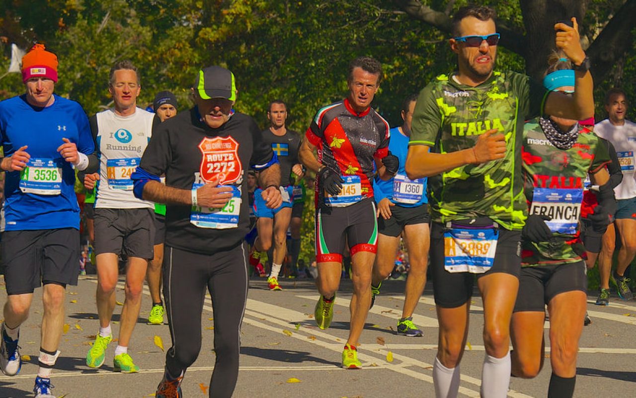 15542214679_1024x683