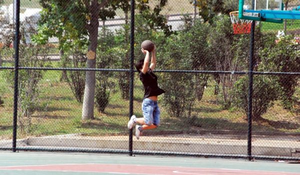 basketball-19105_1280